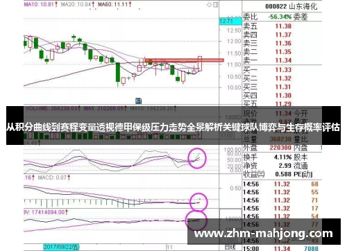 从积分曲线到赛程变量透视德甲保级压力走势全景解析关键球队博弈与生存概率评估