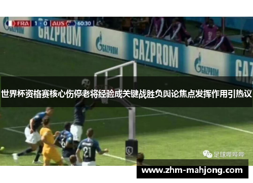 世界杯资格赛核心伤停老将经验成关键战胜负舆论焦点发挥作用引热议